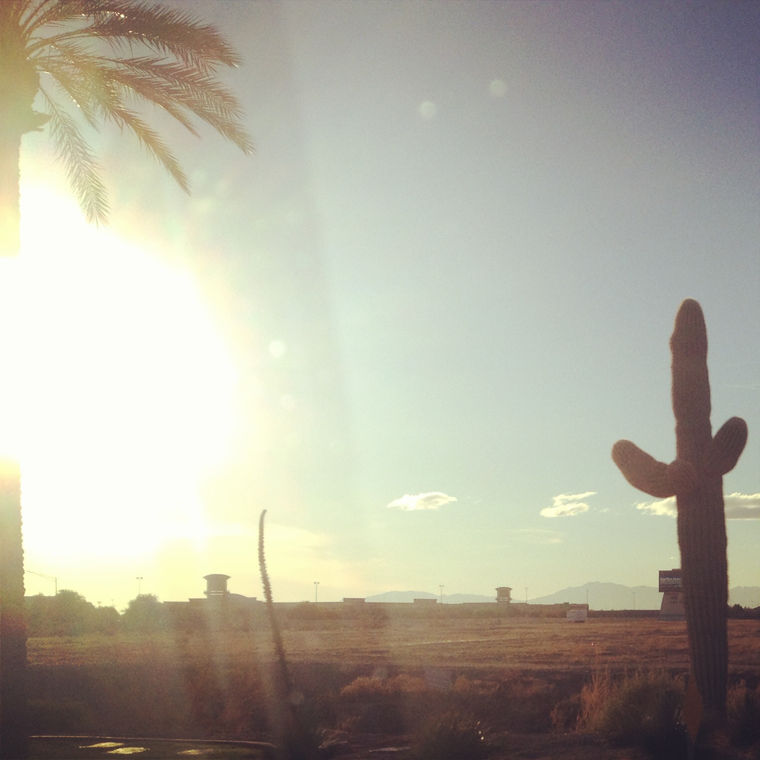 a-christmas-like-none-before-a-cactus-in-arizona